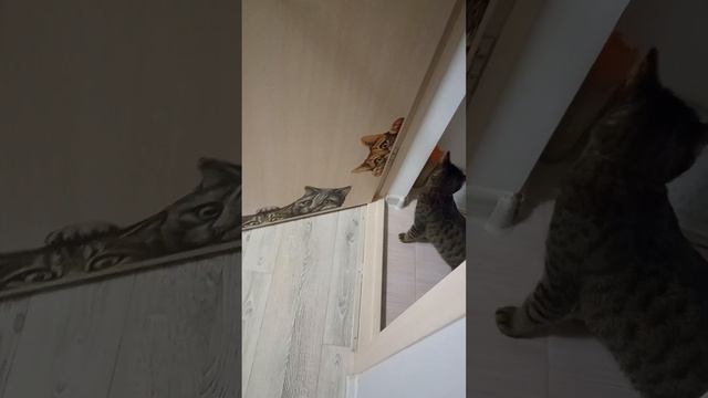 ещё? кроме меня любимиго!? смотреть онлайн