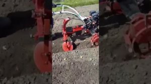 Спасибо каналу "Жизнь на даче" . Купил окучник с бороздоделом и радуюсь