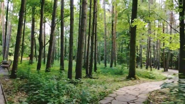 #дендропарк #летовпарке#чихуа#исновабудетлето и снова будет лето и снова 🦟🦟🦟
