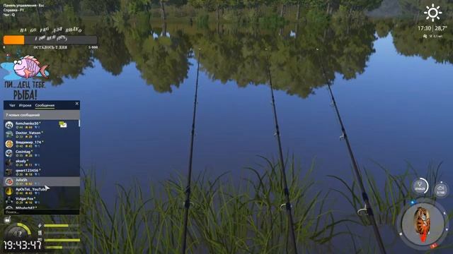 ЛОВЛЮ СВОЮ ЛЮБИМУЮ!!!РУССКАЯ РЫБАЛКА 4!!!?#BELUGA FISHING?!!! смотреть онлайн
