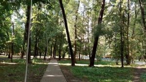 Москва 3988 Фестивальная улица, ЖК Фестиваль парк и Фестиваль парк 2 лето день