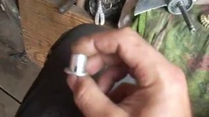 Крыльчатка Привет 22 и др