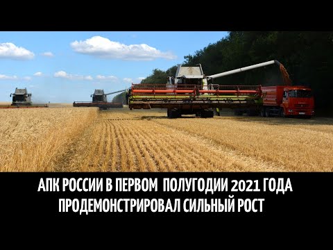 Агропромышленный комплекс России в первом полугодии 2021 года продемонстрировал сильный рост.