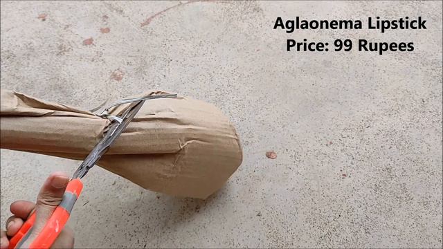 Plant Shopping From Amazon | Online Plant Unboxing | Aglaonema Lipstick Live Plant From Amazon