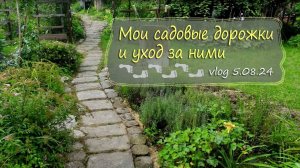 Как я делаю дорожки на даче и как ухаживаю за ними | Vlog Дача как есть 5.08.2024
