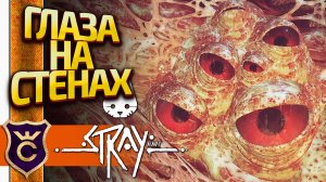МИЛЛИОНЫ ГЛАЗ СМОТРЯТ НА НАС! Stray #8