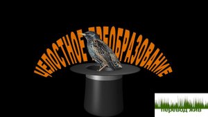 Переводческие трансформации. Целостное преобразование