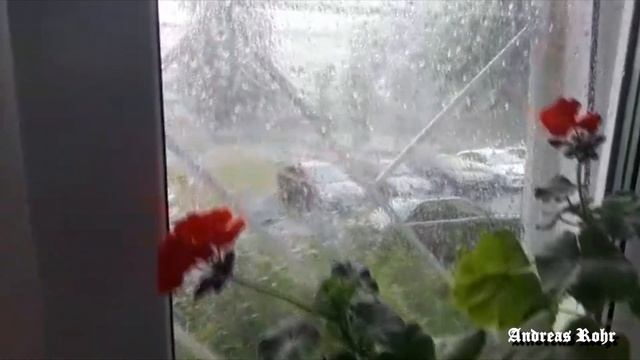 Настя слетала на родину. Мюнхен-Кемерово-Мюнхен. Взгляд с коляски. Влог. Германия. Vlog. Germany