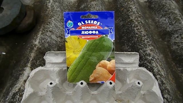 Сажаю Люффу (мочалку). смотреть онлайн