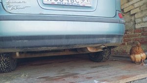 Nissan Almera Tino 2.2 d, запуск дизеля в -14, с плохими свечами накаливания