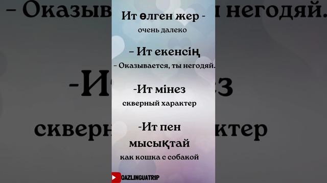 как сказать на казахском хрен его знает #казахскийязык #казахскийдлярусскоязычных #учимказахский