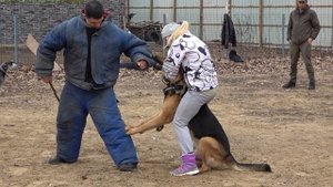Обучение Собак ЗАЩИТЕ ХОЗЯЕВ в любых ситуациях. Школа СЛУЖЕБНОГО СОБАКОВОДСТВА "СТРАЖ" Одесса.