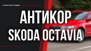 Антикоррозийная обработка Skoda Octavia