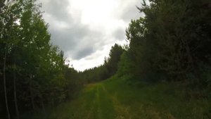 Сплав по реке Ухта и прогулка по лесу