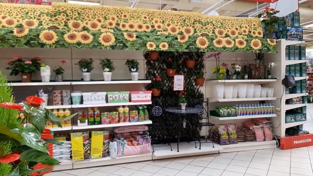 Мои новые #пеларгонии. Цветочный ассортимент в АльКампо смотреть онлайн