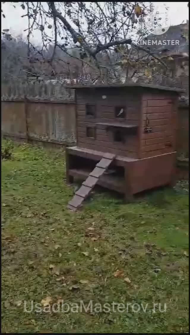 Домик для 10 кошек "Форест" купить зимний домик для 10 кошек смотреть онлайн