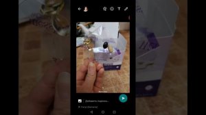 Как выложить статус в WhatsApp