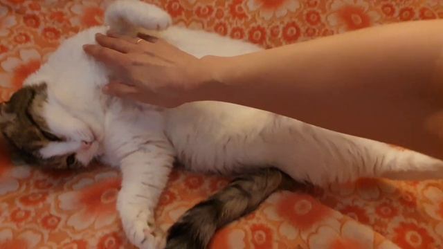 Обрамлю аметист, огламурю янтарь. Двое новых бус. смотреть онлайн