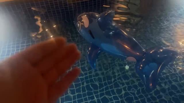 СТРИМ С БАССЕЙНА смотреть онлайн