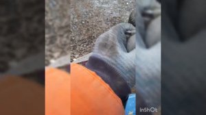 Мерседес 190(102)1990.Замена заднего амортизатора,Ремонт