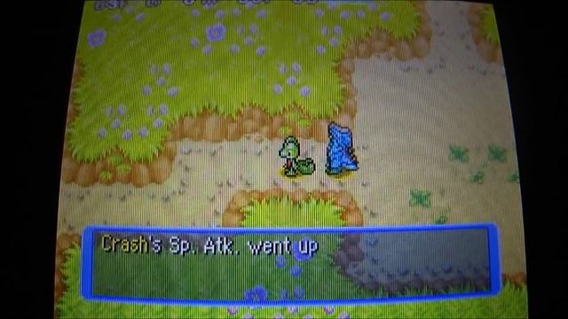 Pokemon Mystery Dungeon Walkthrough Bölüm 2 - Tiny Woods & Kayıp Caterpie смотреть онлайн