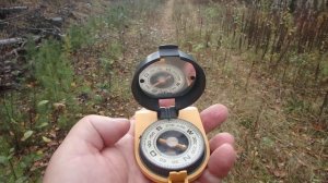 Ориентирование в лесу. Определение направления движения по азимуту