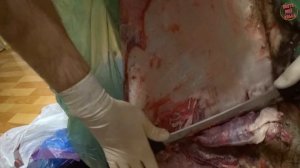 Мездренее. Чем мездрить шкуры.