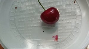 30 июня 2023 г.Черешня  Регина