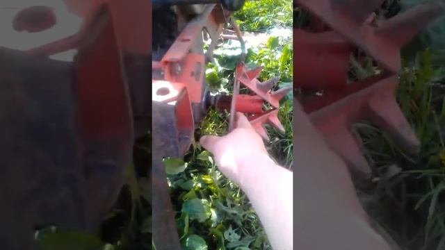 Ещё один вид пропольщиков  для мотоблока Агат