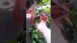 Ещё один вид пропольщиков  для мотоблока Агат