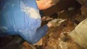 АНТАВА. Бестраншейная замена канализационного выпуска