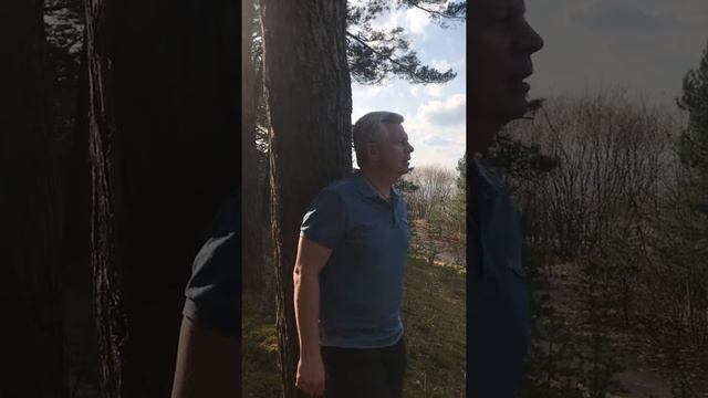 Волшебник, читает автор