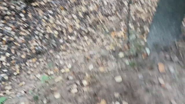 Барсучьи, или лисьи норы? 14.10. 2022. смотреть онлайн