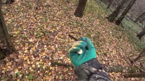 Коп в лесу.Мужик сказал где искать Домонгол.Поиск с металлоискателем.