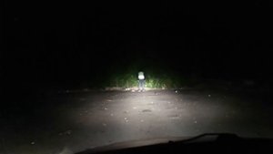 Как световозвращающие элементы влияют на безопасность на дороге?