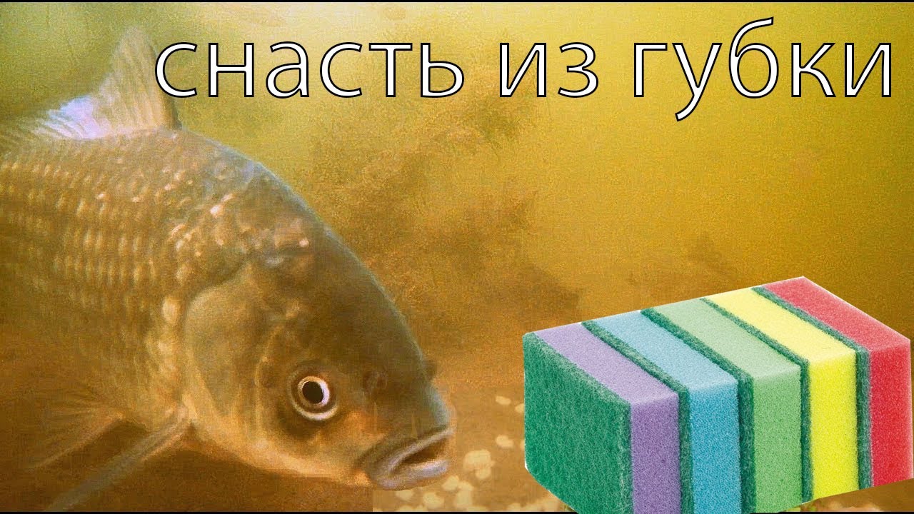 Поролоновая снасть на карася! на поплавок приманивает запахом!