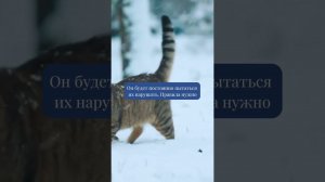 Нарцисс – отец ребёнка