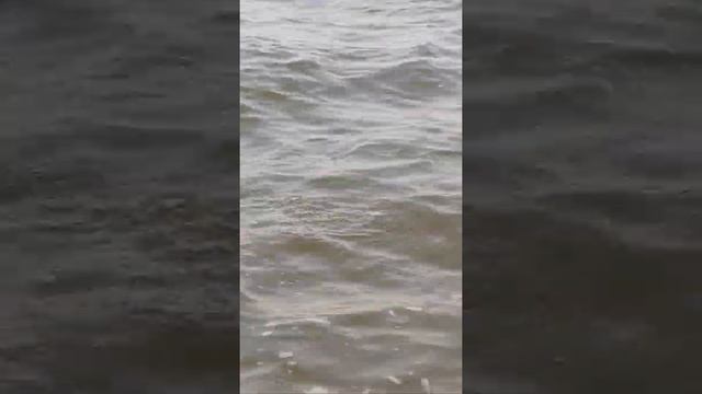 Ейск. Азовское море. 10 августа 2021г. смотреть онлайн