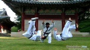 Боевые искусства мира. Хапкидо