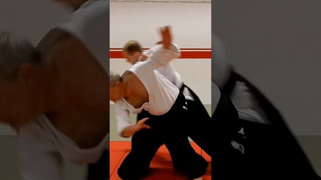 Aikido techniques on grabs of both shoulders from behind, by Stefan Stenudd