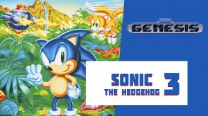 Sonic The Hedgehog 3 (SEGA) ВСЕ ИЗУМРУДЫ ХАОСА