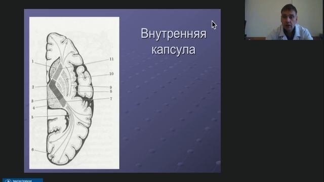 Андреев В.В. Чувствительность. Методика оценки.