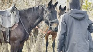 Мини отпуск февраль 2021 Озеро Желаний  Адыгея