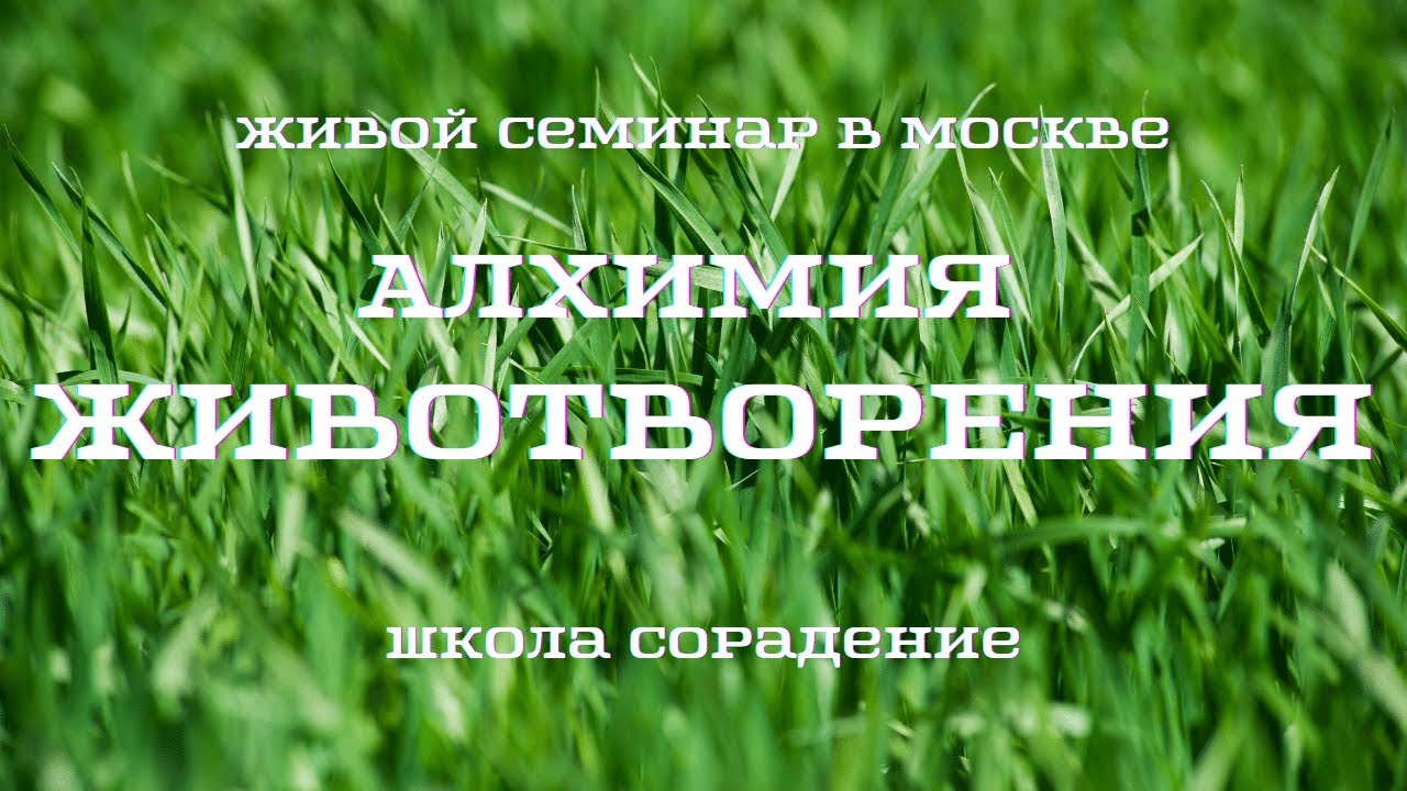 Анонс семинара Алхимия Животворения. #СеминарвМоскве #школаСорадения