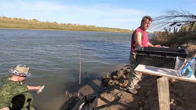 Рыбалка на АХТУБЕ 2019. смотреть онлайн