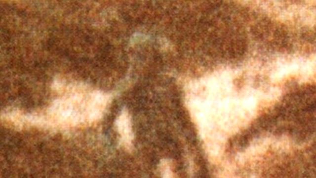 Подлинная Фотография Инопланетянина смотреть онлайн