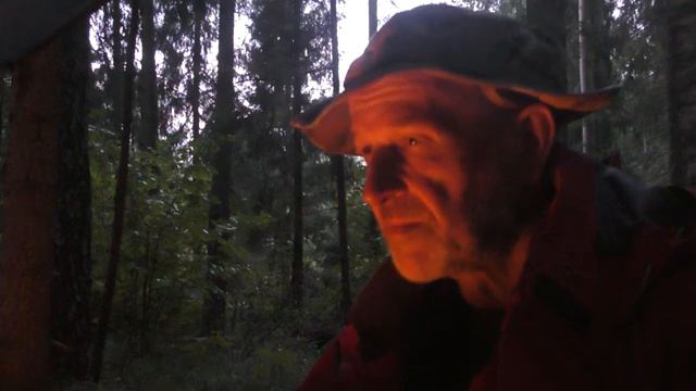 Наконец дожди! Пожары потухли! Идем в лес! смотреть онлайн