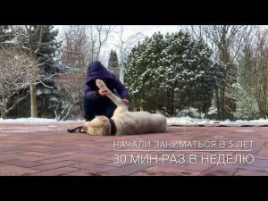 Дрессировка алабая.С Вами Наталья Севастьянова кинолог