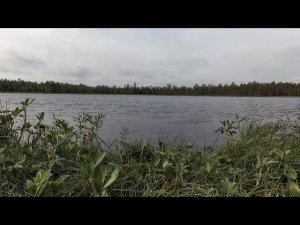Открытие сезона летней рыбалки 2024 на окуня
