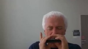 Swan Chromatic Harmonica 1040